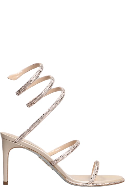 Sandals for Women René Caovilla Cleo Sandals In Powder Leather