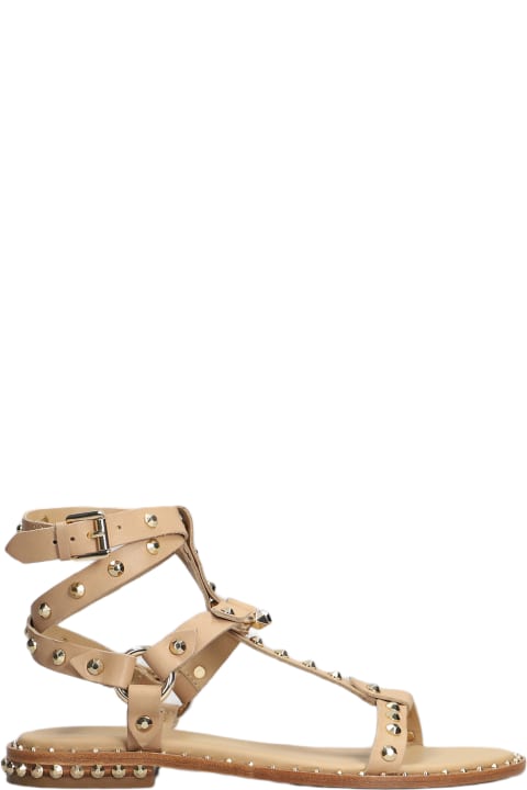 Ash Sandals for Women Ash Pulp Flats In Powder Leather