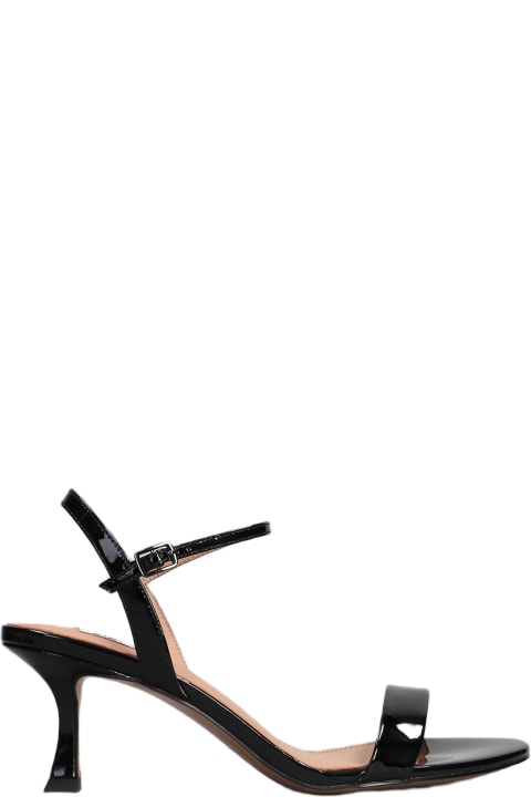 Shoes for Women Bibi Lou Lotus 65 Sandals In Black Patent Leather