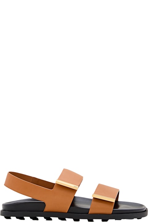 Tod's for Women Tod's Sandals