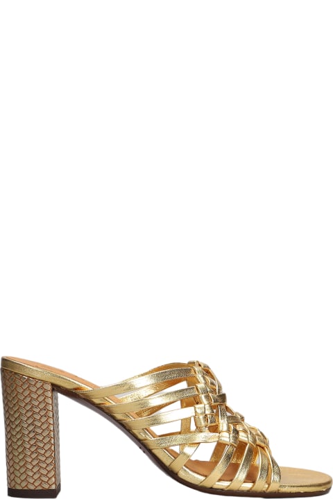 Chie Mihara Sandals for Women Chie Mihara Beijing Slipper-mule In Gold Leather