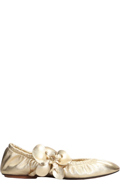 Flat Shoes for Women Zimmermann Ballet Flats In Gold Leather