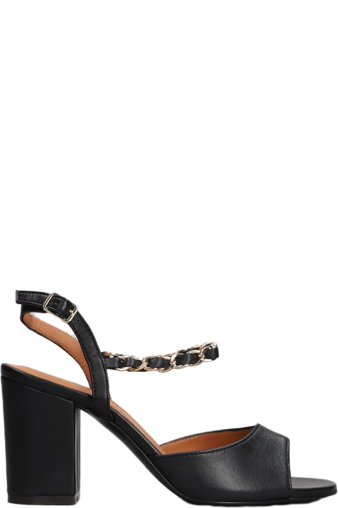 Shoes for Women Via Roma 15 Sandals In Black Leather