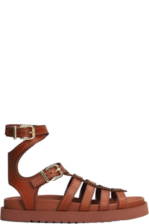 Zimmermann for Women Zimmermann Goldie Gladiator Flats In Brown Leather