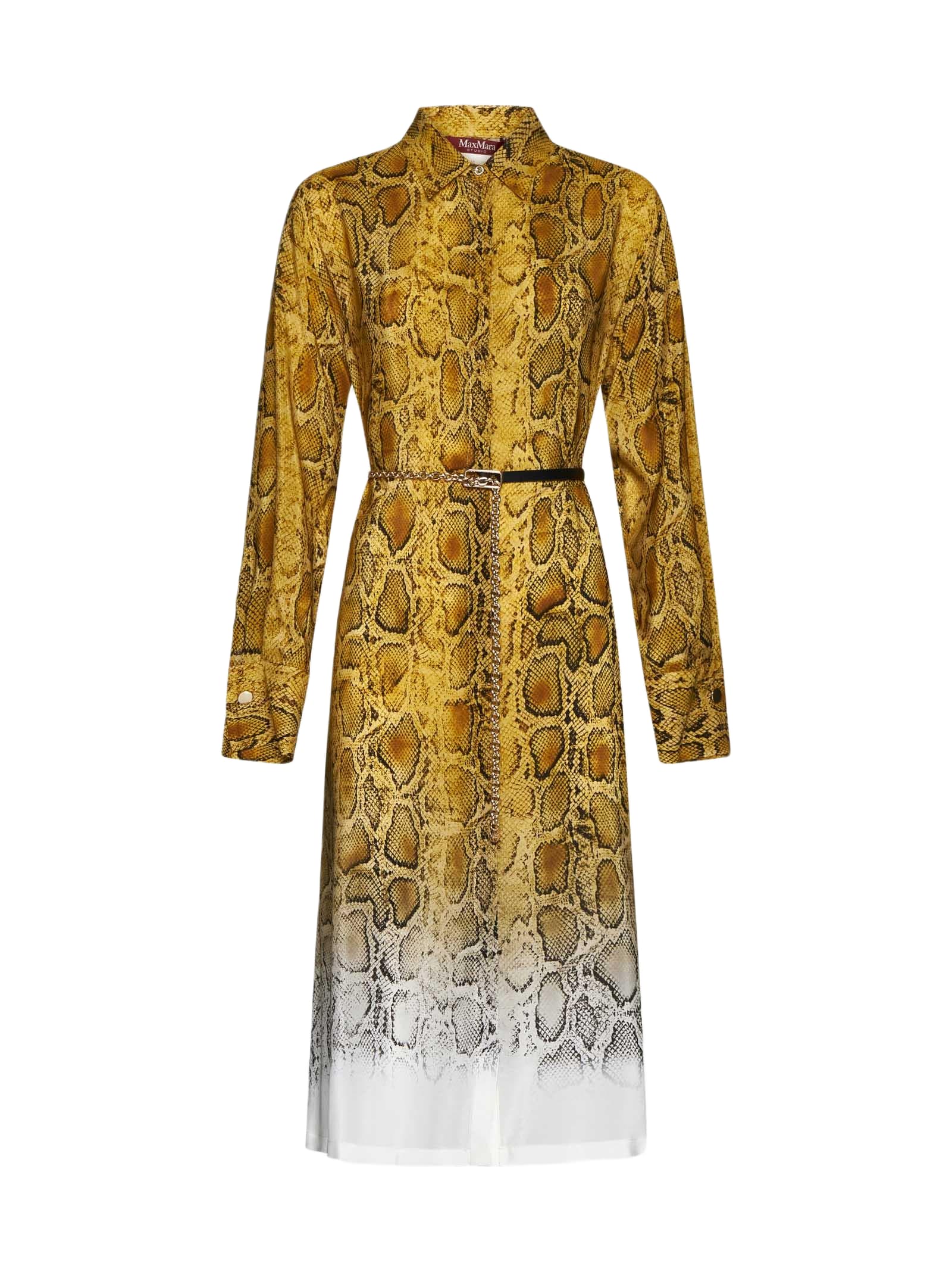 【送料&関税込】Max Mara Studio Nereo Print Silk Shirt Dress Max Mara Studio Nereo Print Silk Shirt Dress | italist