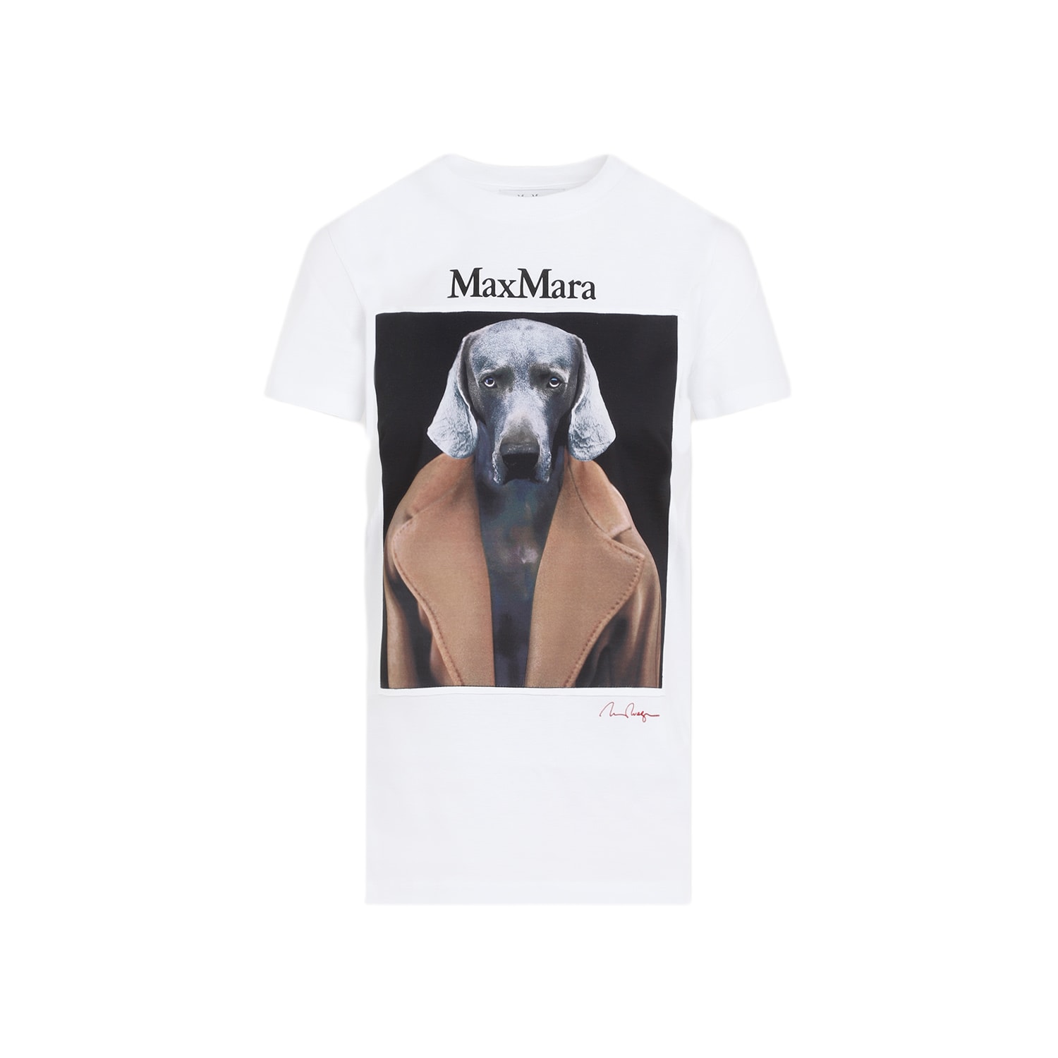 ＜MAX MARA ＞ Dog T-シャツ-CIPRIA Max Mara Cipria dog-print T-shirt | White | FARFETCH