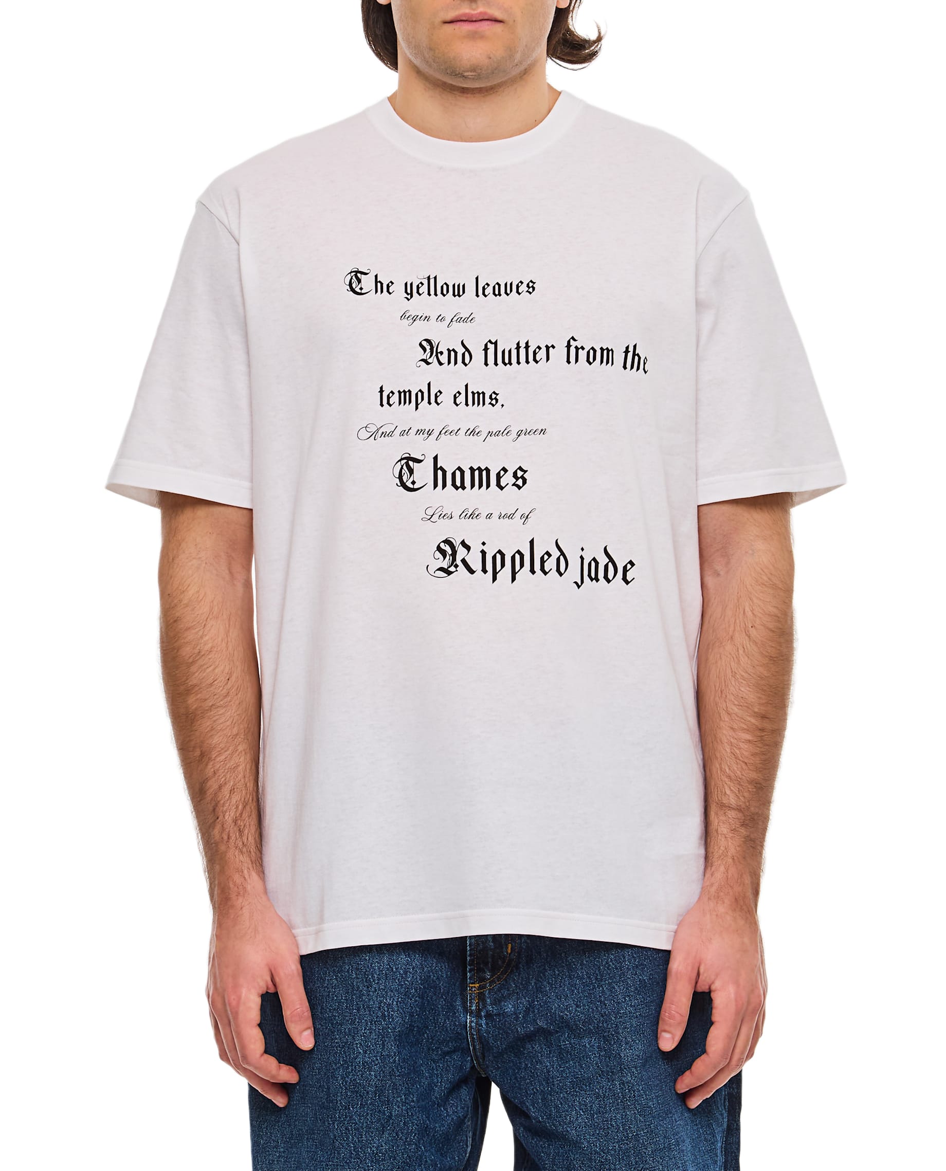 Tシャツ・カットソー alexander mcqueen T-SHIRT WITH PRINT (815069 QTAC70909) Alexander McQueen Printed T-shirt | italist