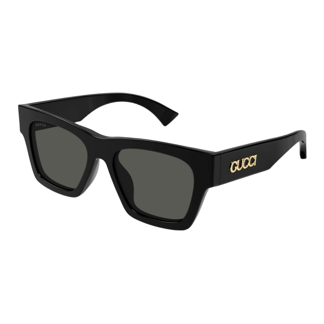GUCCI Gg1552s Injected Cat-eye Sunglasses Gucci