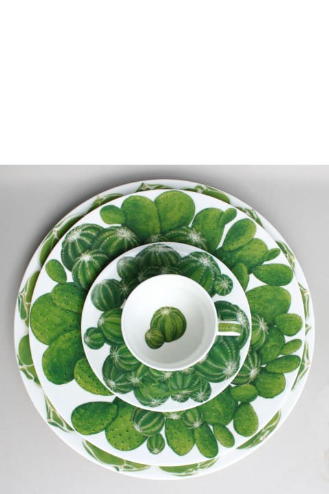 Set of 4 Dinner Plates - Cactus Collection