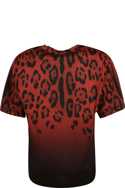 Dolce & Gabbana Leo Print T-shirt - Rosso brillante