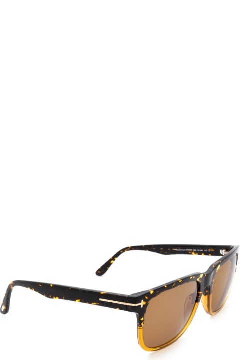 Tom Ford Eyewear Ft0775 Havana & Honey Sunglasses
