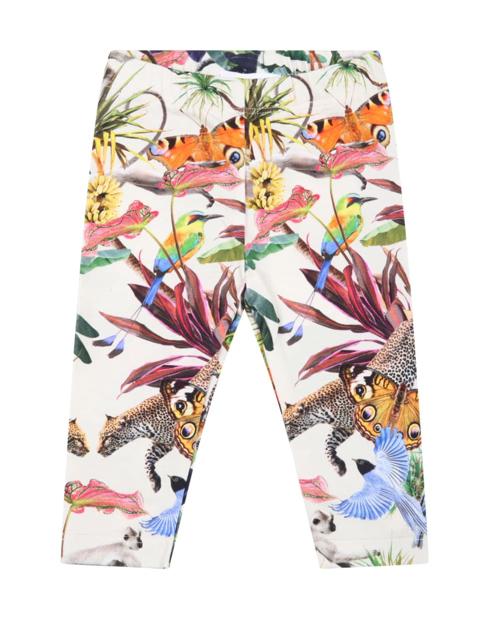 Molo Ivory Leggings For Baby Girl With Animals - Multicolor