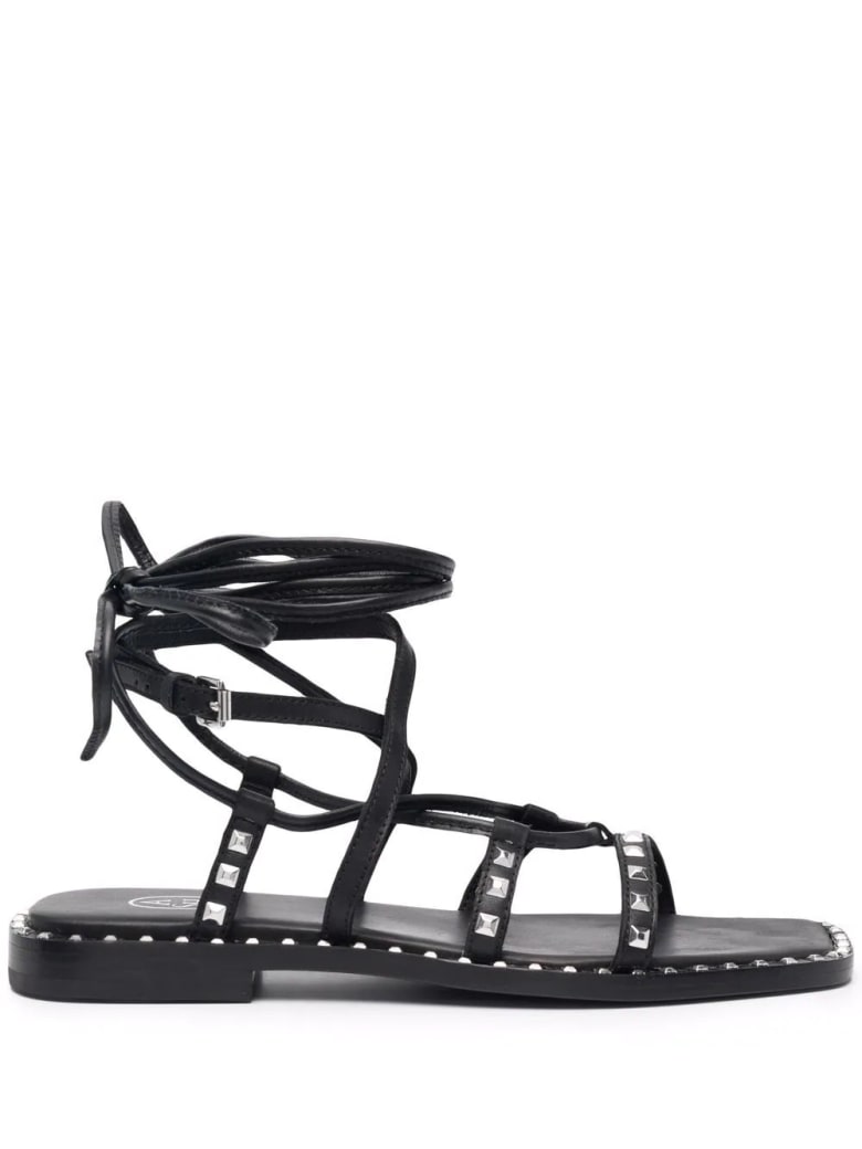 Ash Woman Black Mauritius Sandal - Black
