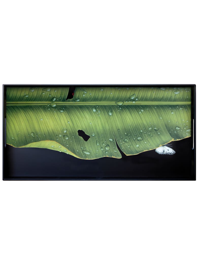 Taitù Medium Rectangular Tray- Freedom-Foglie Collection - Green & Black