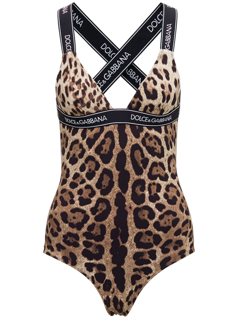 Dolce & Gabbana Animalier Swimsuit With Logo Band - Multicolor