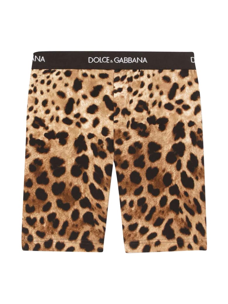 Dolce & Gabbana Leopard Print Leggings - Leopardato