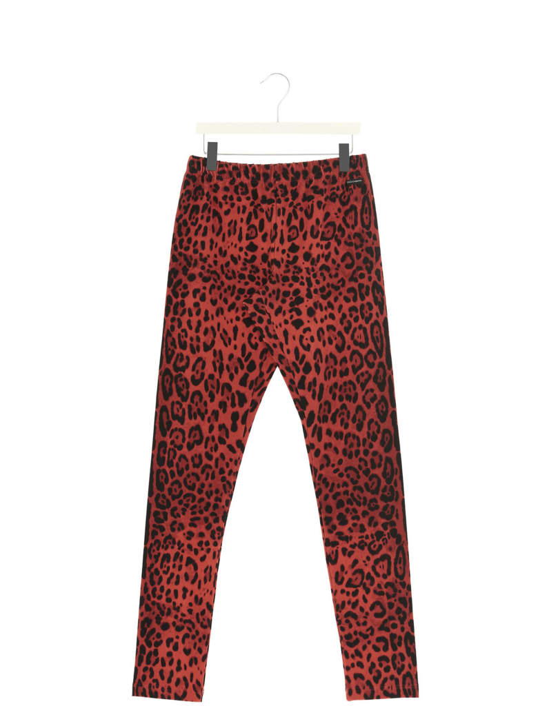 Dolce & Gabbana Leggings - Multicolor