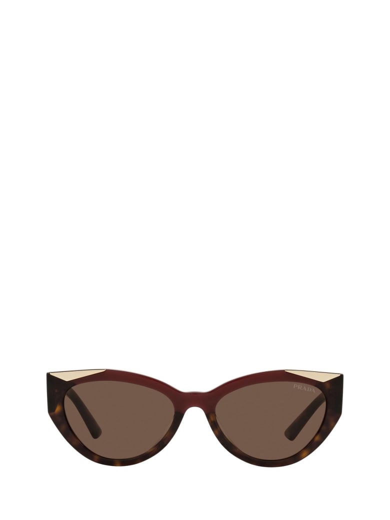 prada havana sunglasses