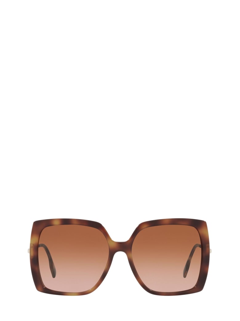 burberry havana