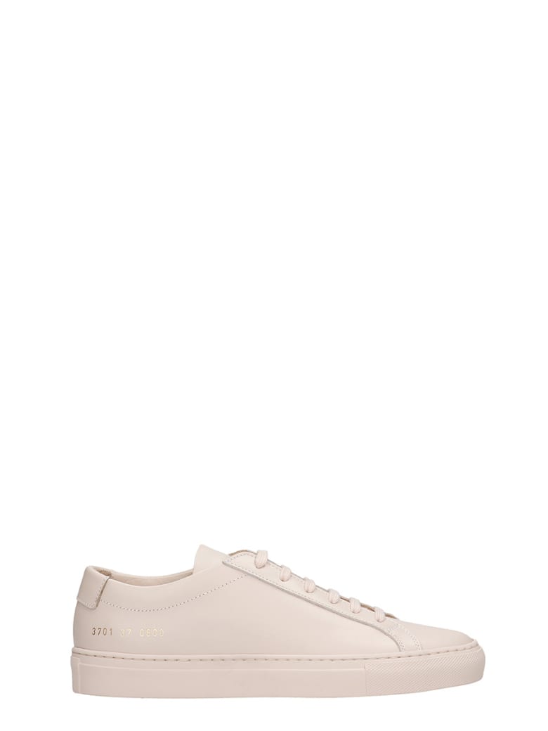 Common Projects Achille Sneakers In Powder Leather - powder