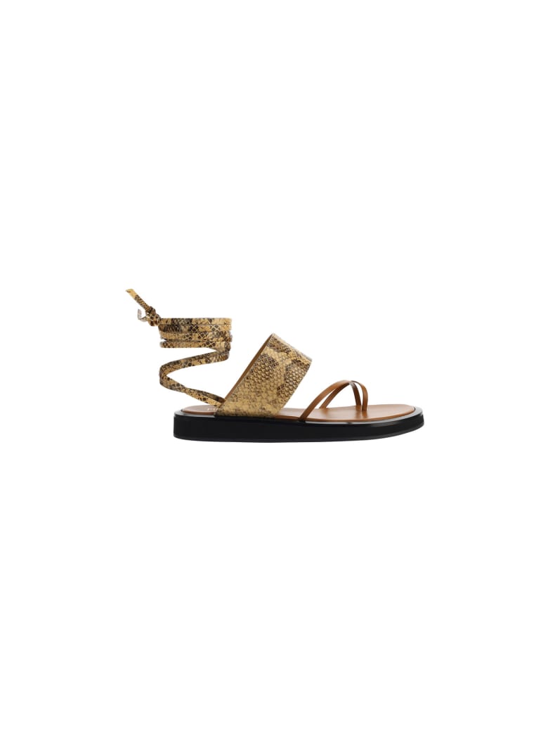 Paris Texas Brooklyn Sandals - Honey