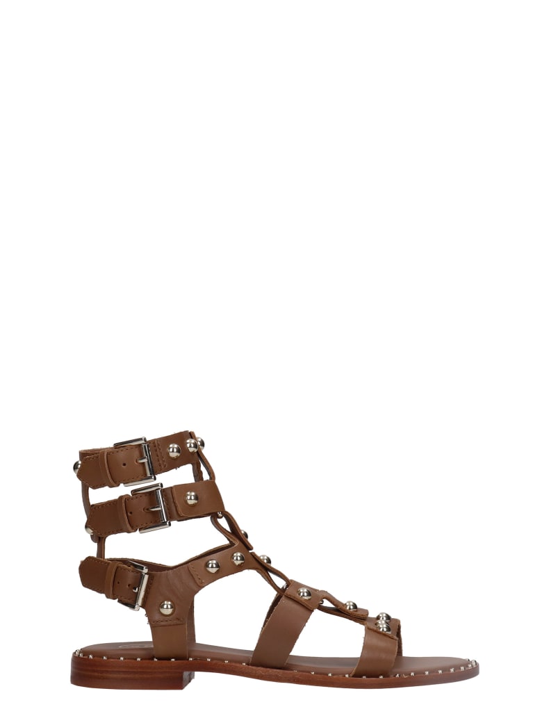 Ash Petrus 02 Flats In Leather Color Leather - leather color