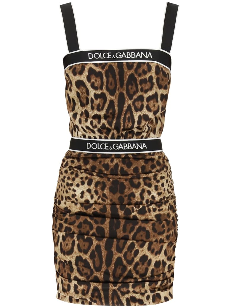 leopard dress dolce gabbana