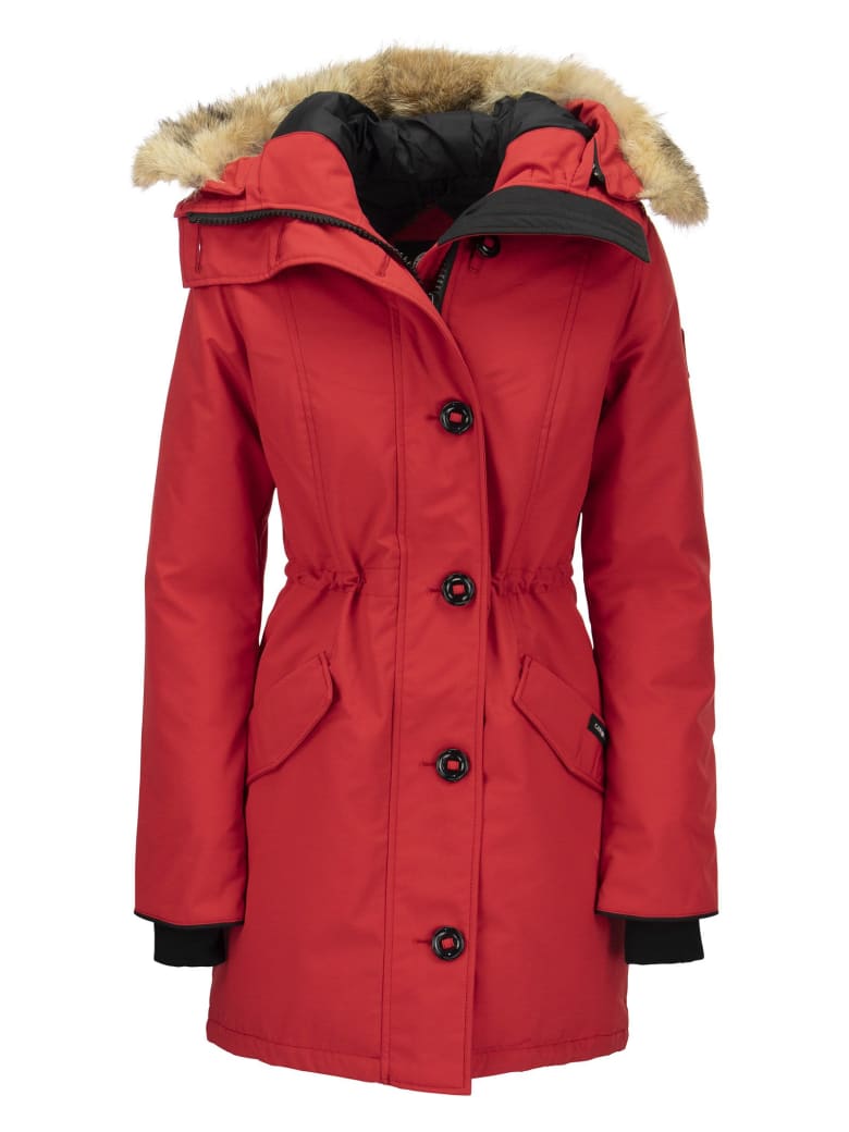 canada goose rossclair red