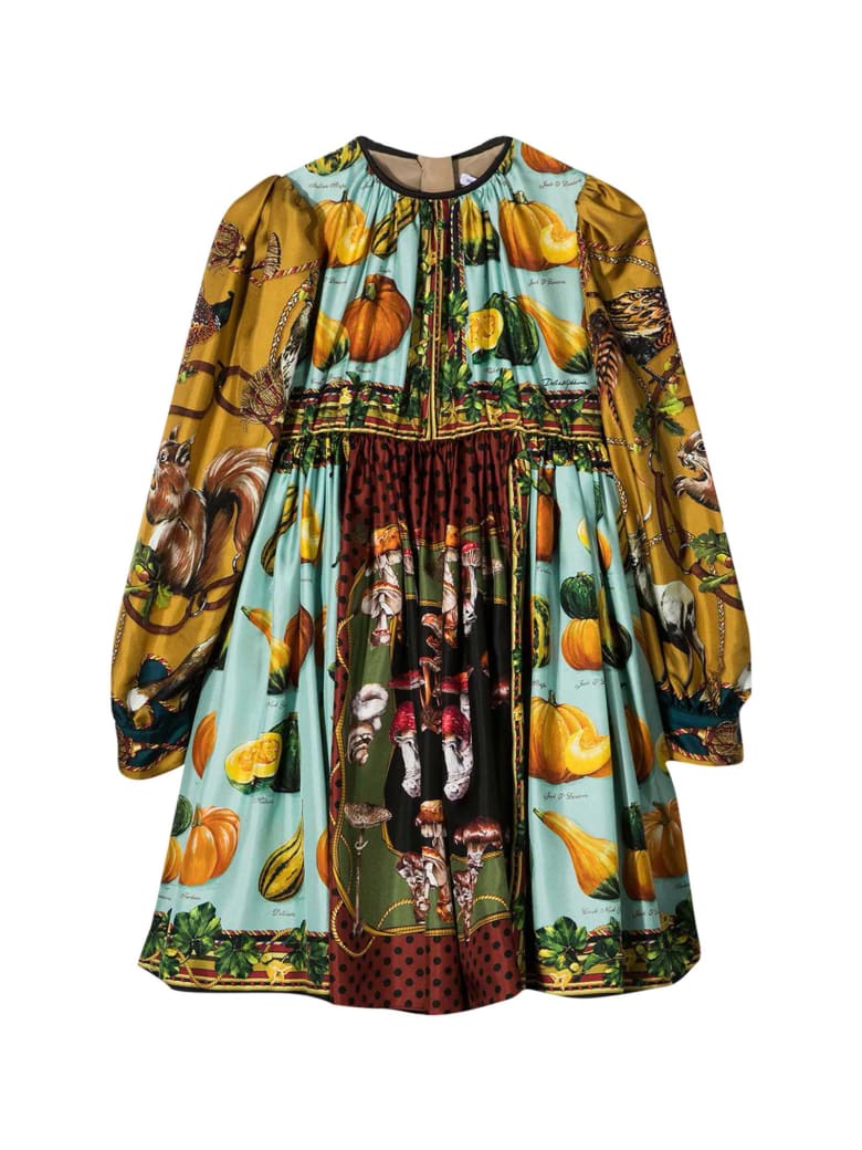Dolce & Gabbana Multicolor Dress - Unica
