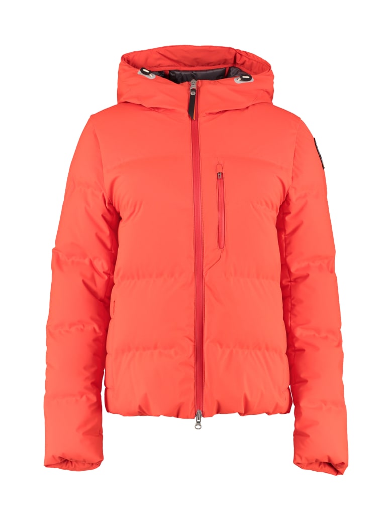 parajumper short jacket