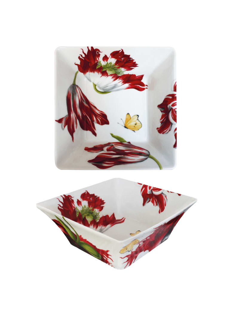 Taitù Medium Squared All-Purpose - Red