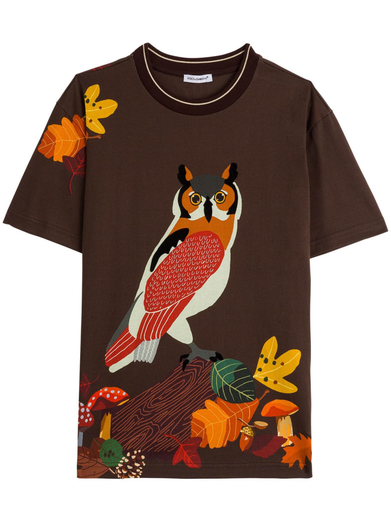 Dolce & Gabbana Owl Print Cotton T-shirt - Brown