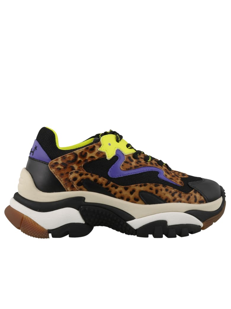 ash sneakers leopard