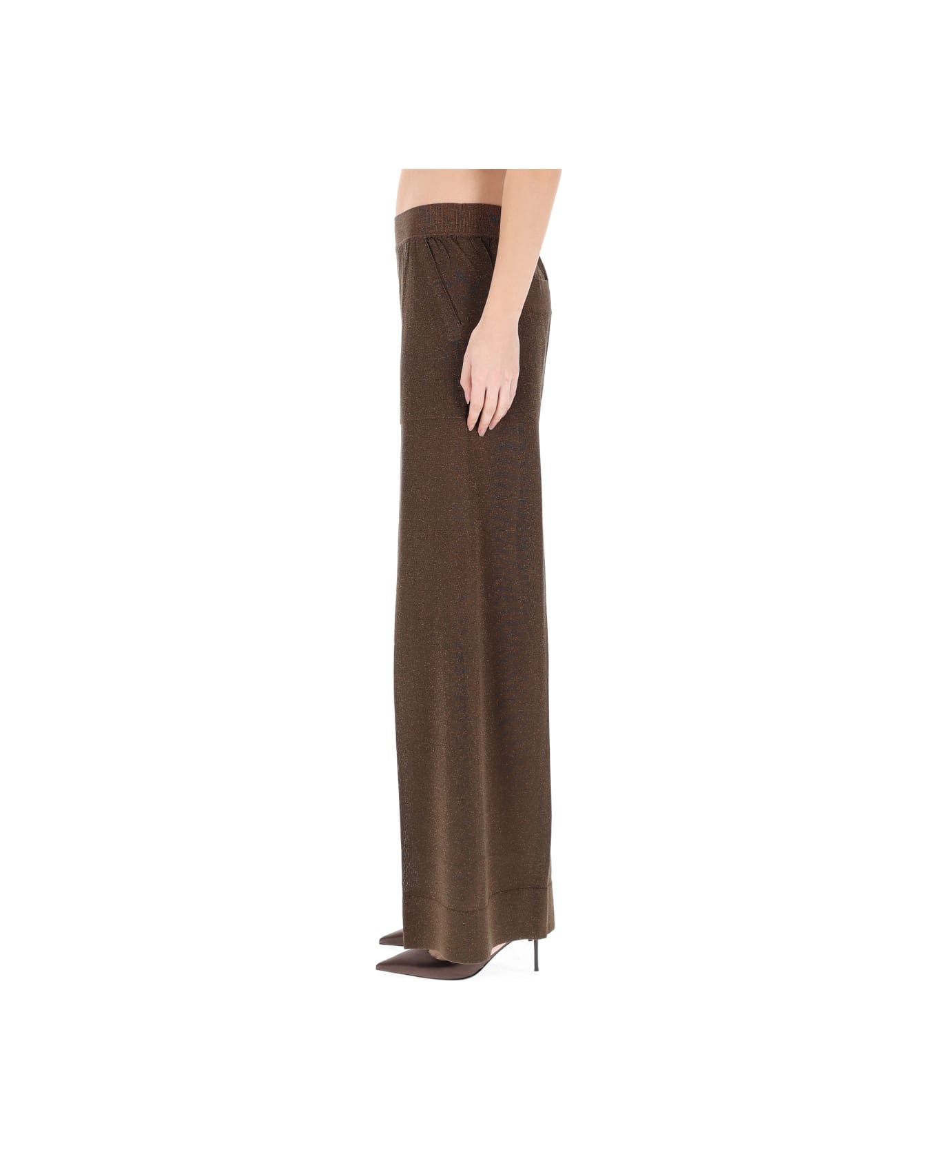 Circus Hotel Tailored Pants - BROWN