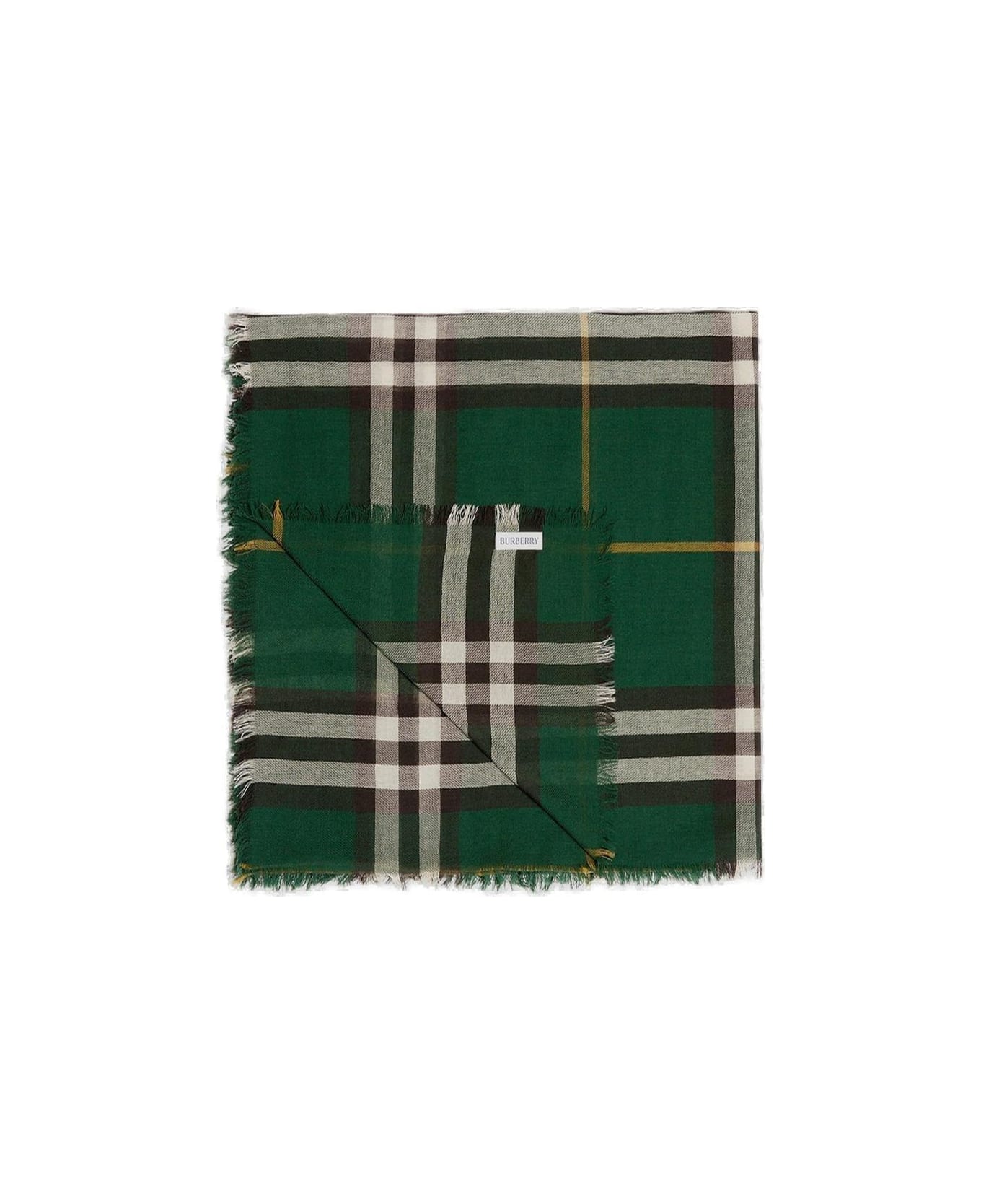Burberry Check-printed Fringed-edge Scarf - GREEN