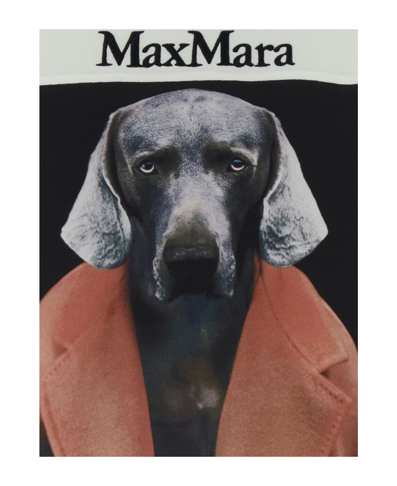 Max Mara White Stretch Cotton Blend Bacco Sweatshirt - BIANCO AVORIO