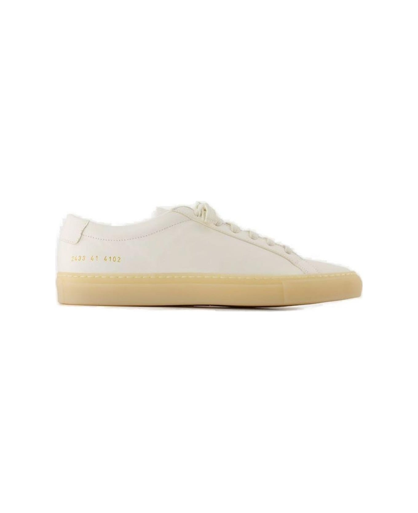 Common Projects Achilles Low-top Sneakers - Bianco