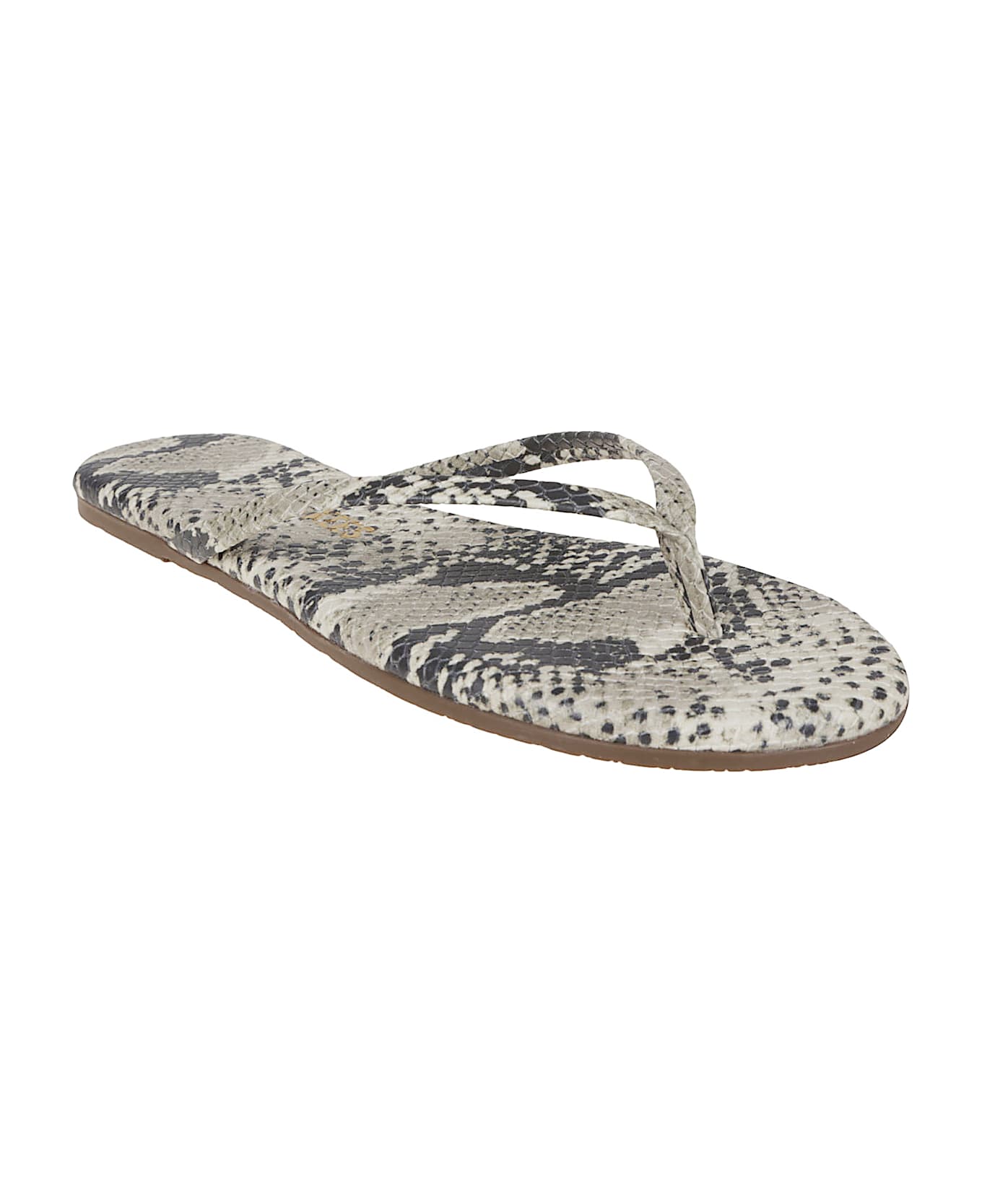 Tkees Studio Exotic - Studio Exotic Sand Snake
