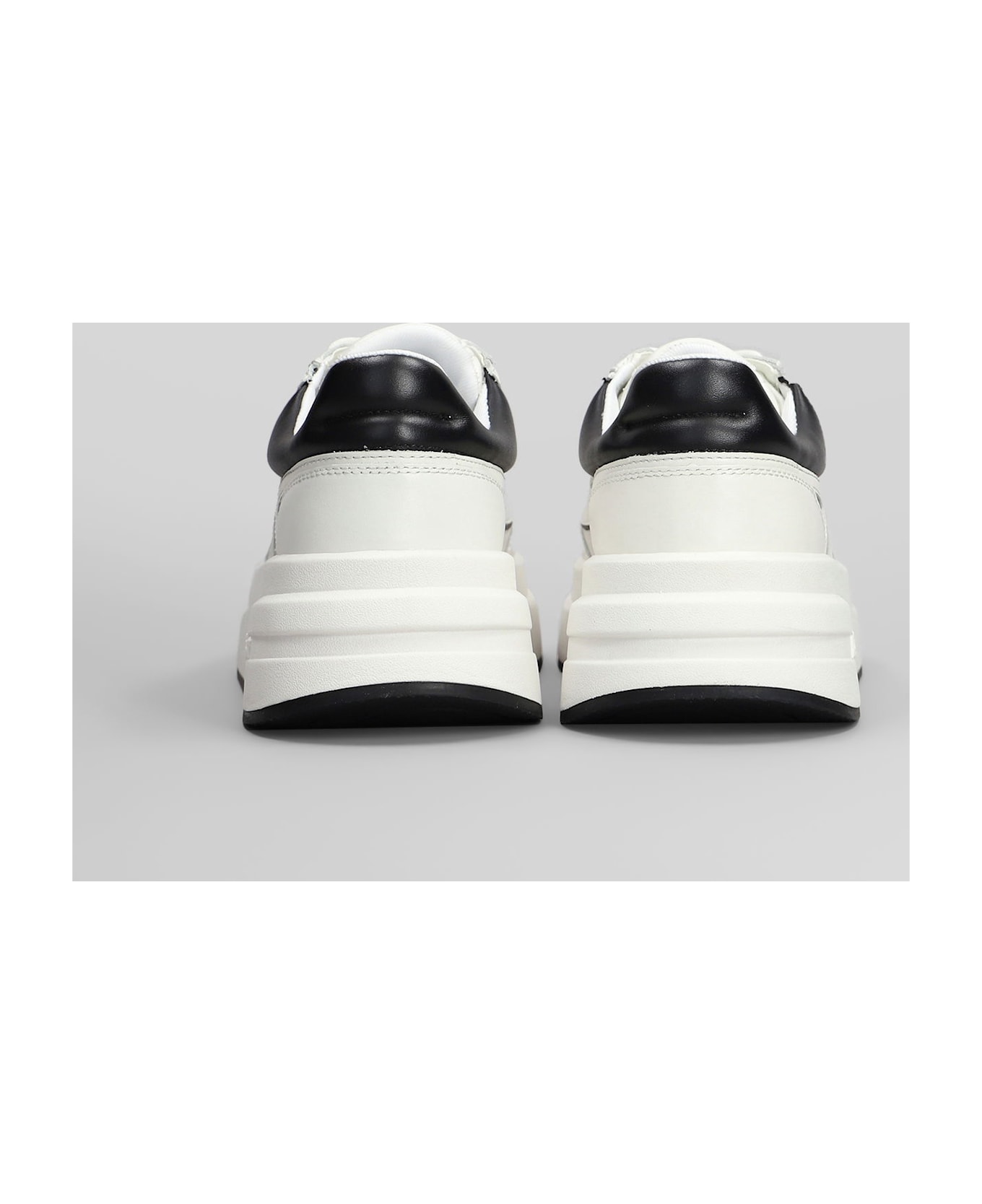 Ash Icone Sneakers In White Leather - white