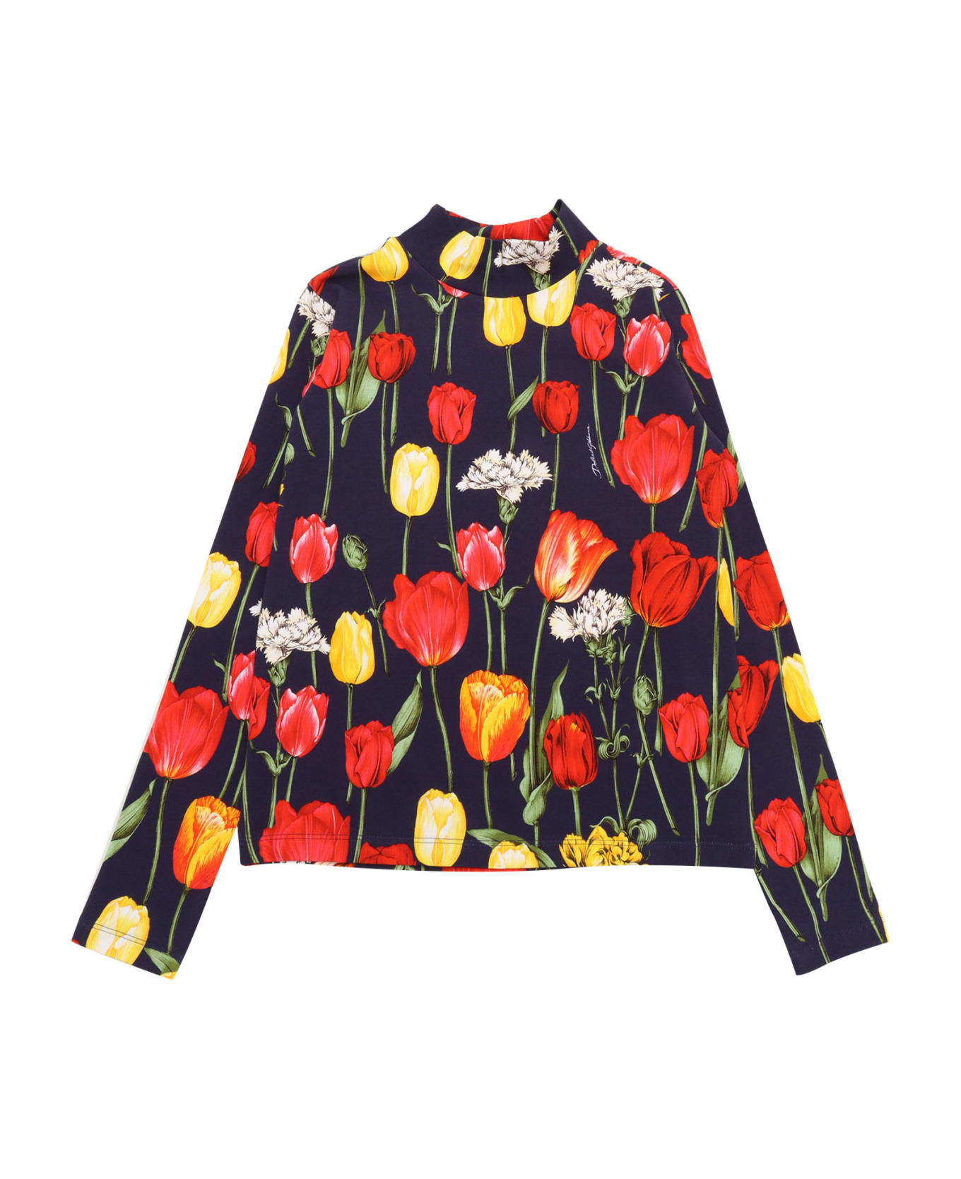 Dolce & Gabbana L/s Mock Turtleneck - MULTICOLOR