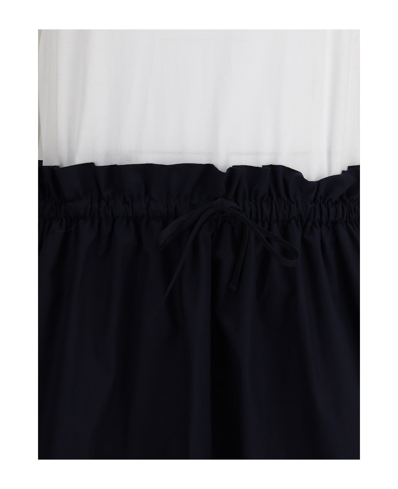 Fabiana Filippi Long Dress With Appliqué Skirt