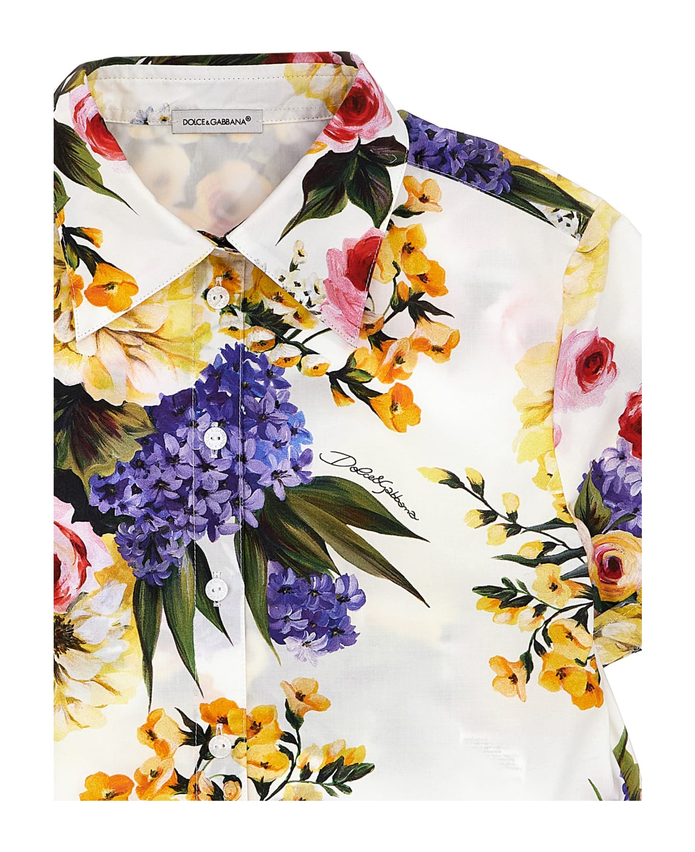 Dolce & Gabbana 'giardino' Shirt