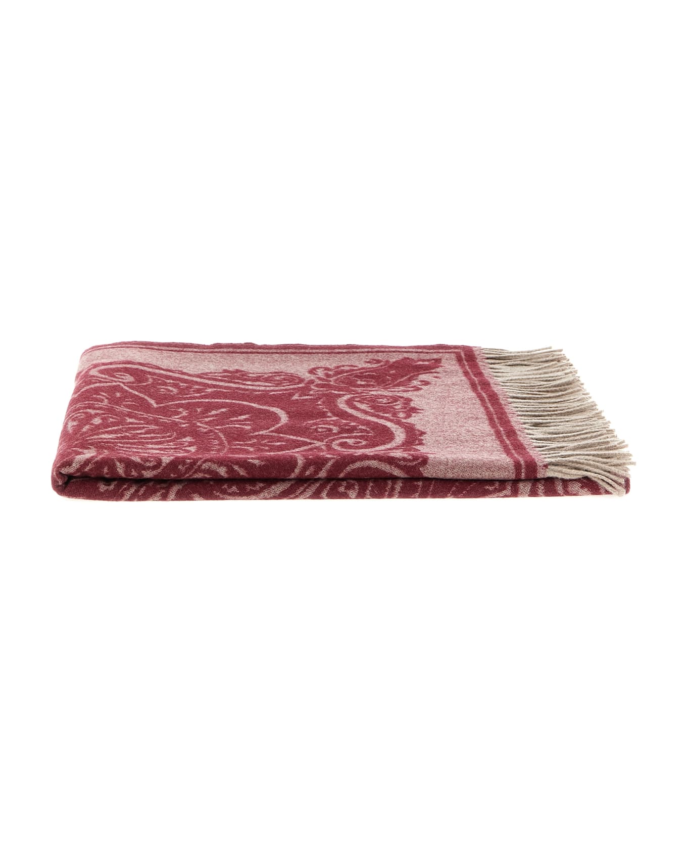 Etro 'alocasia' Plaid - Bordeaux