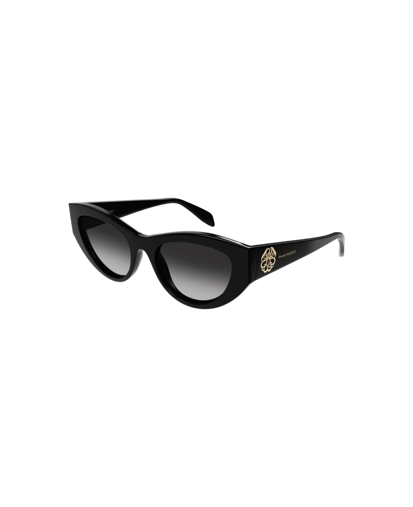 Alexander McQueen Eyewear AM0377s 001 Sunglasses