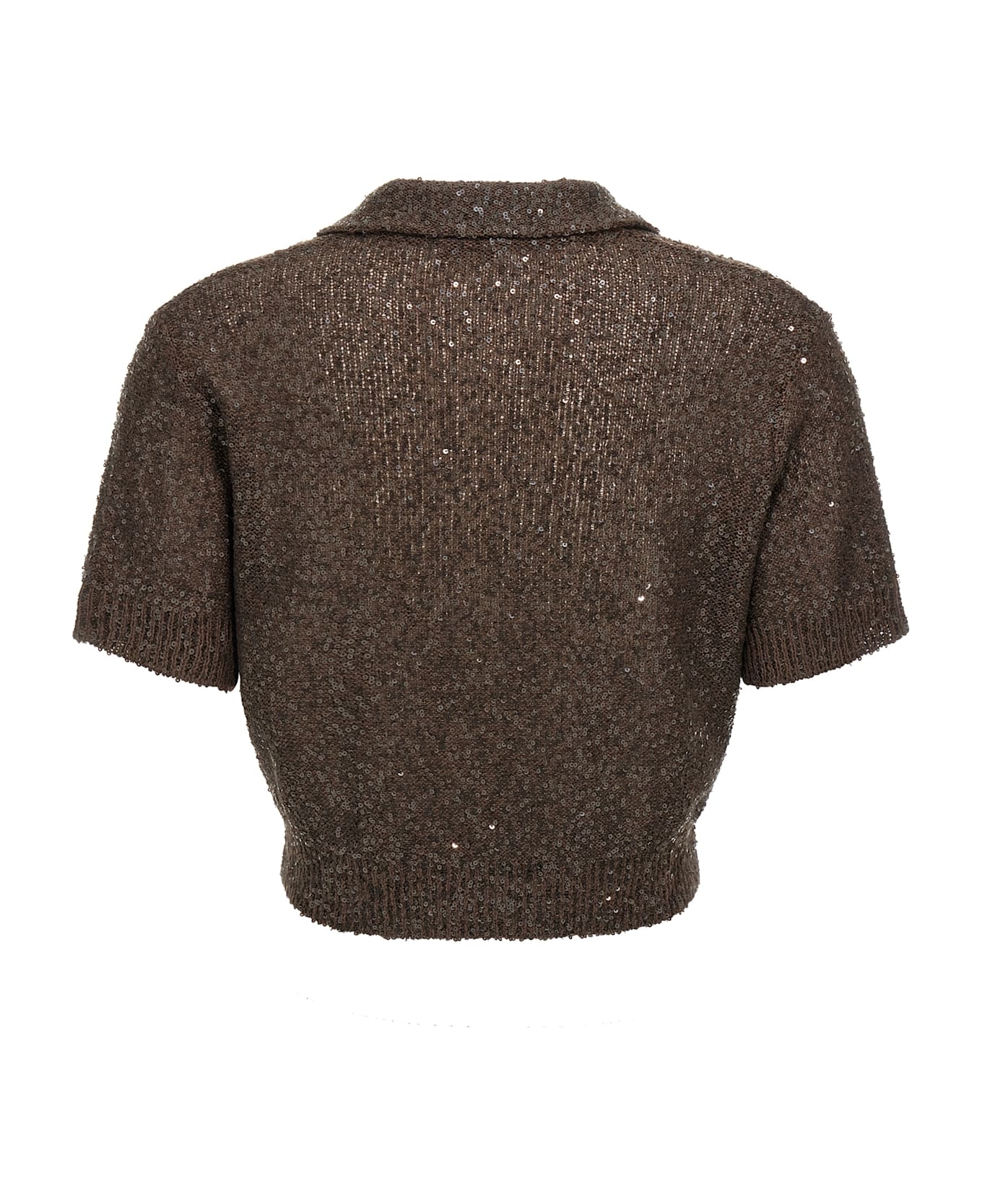 Brunello Cucinelli Sequin Polo Shirt - Brown
