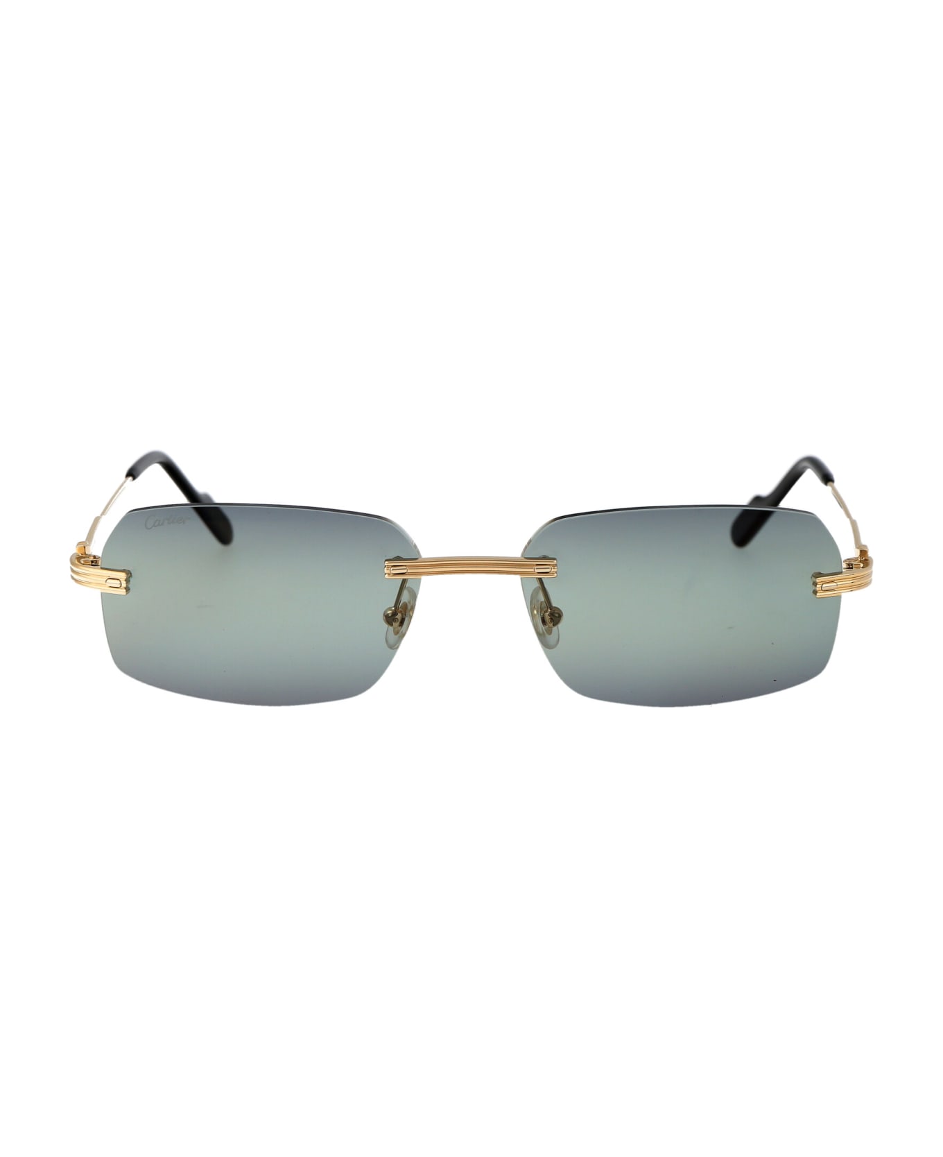 Cartier Eyewear Ct0271s Sunglasses