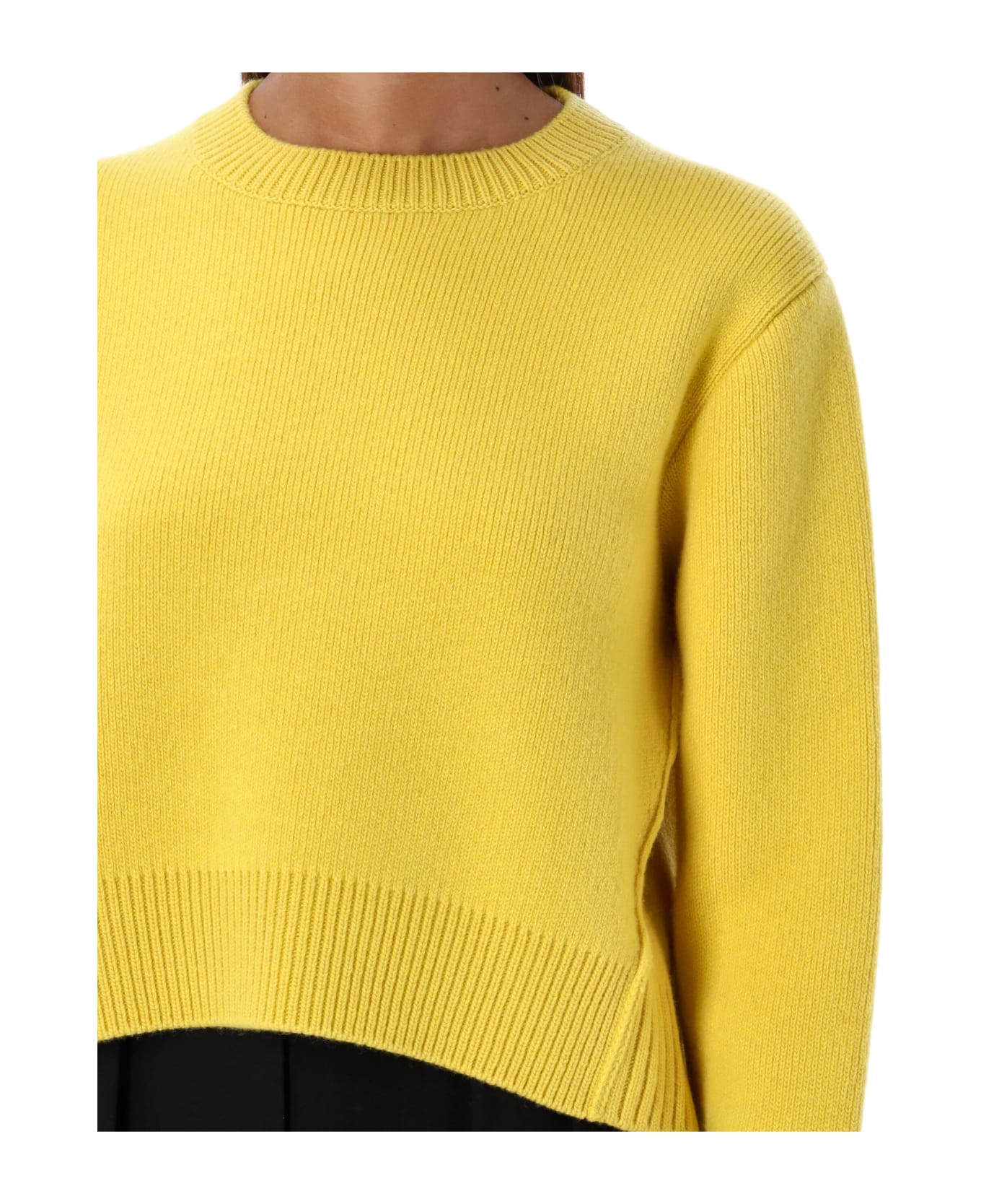 Lanvin Crewneck Sweater - SUN FLOWER ニットウェア