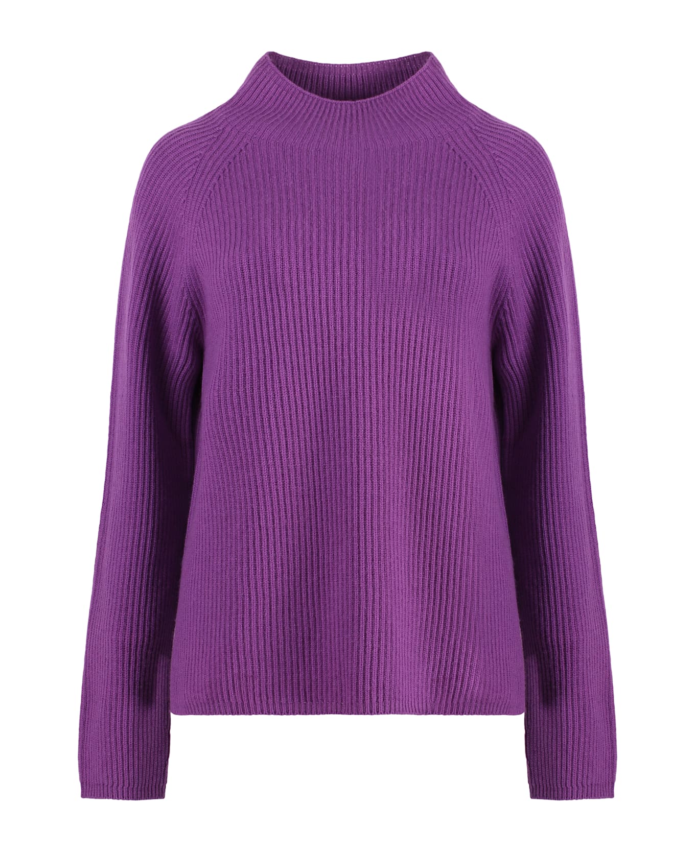 'S Max Mara Elica Wool And Cachemire Turtleneck Pullover - purple