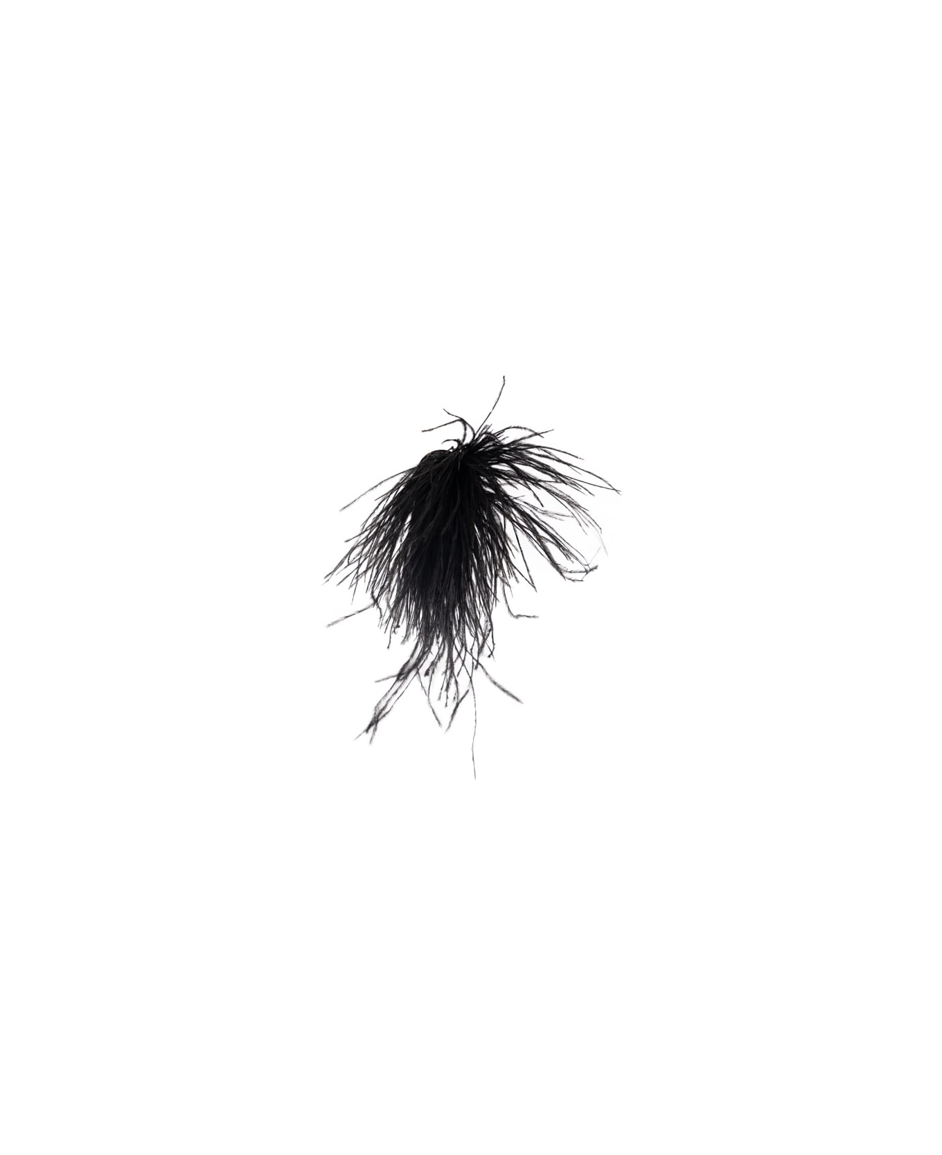 TwinSet Brooch With Feathers - Nero
