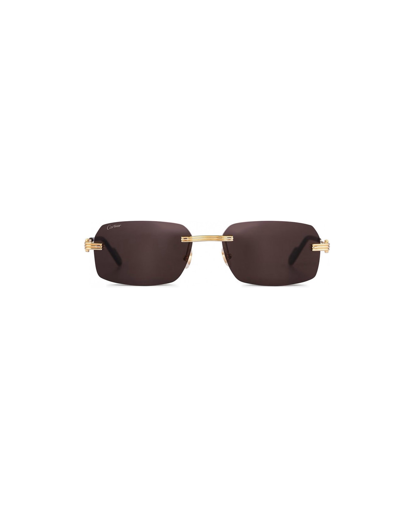 Cartier Eyewear CT0271S 001 Sunglasses